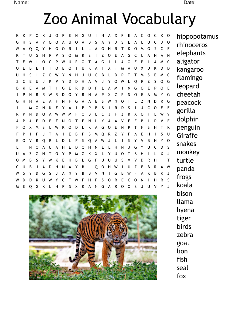 Big Cats Word Search WordMint