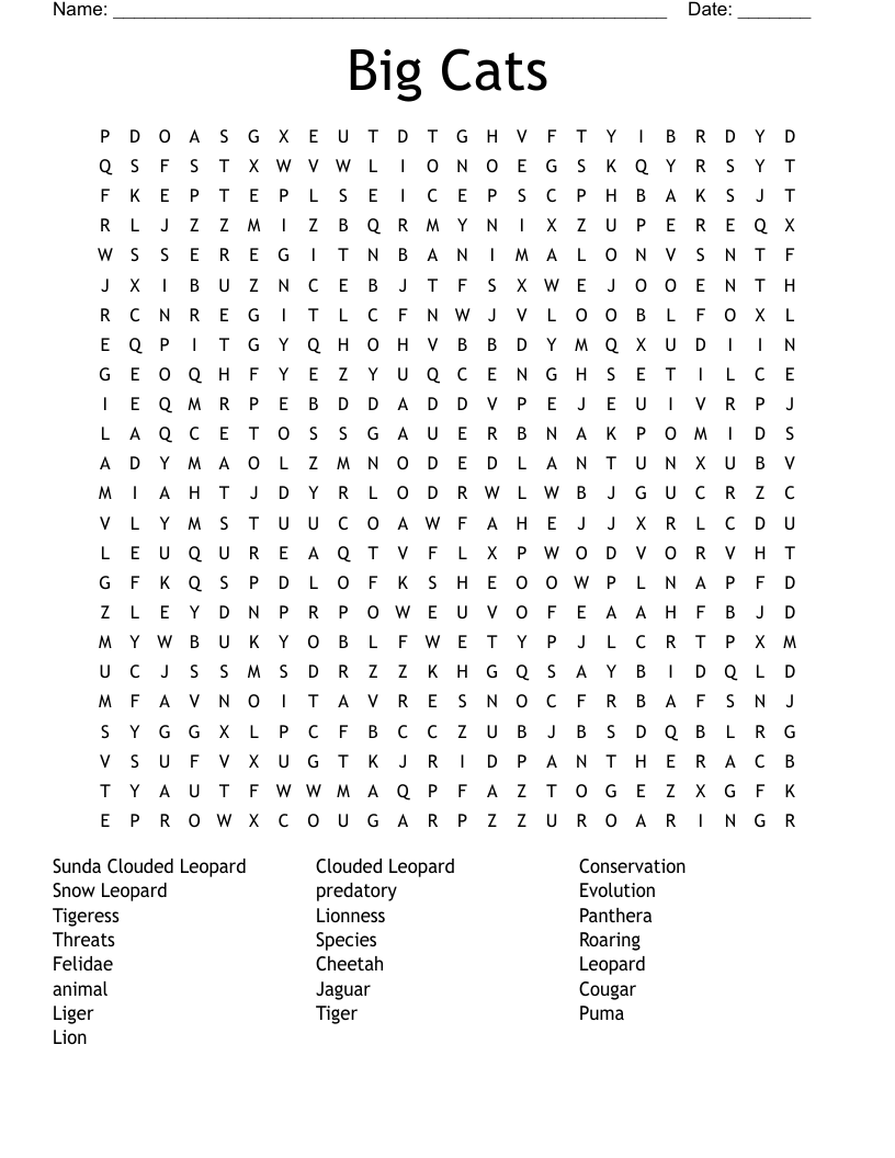 Big Cats Word Search WordMint