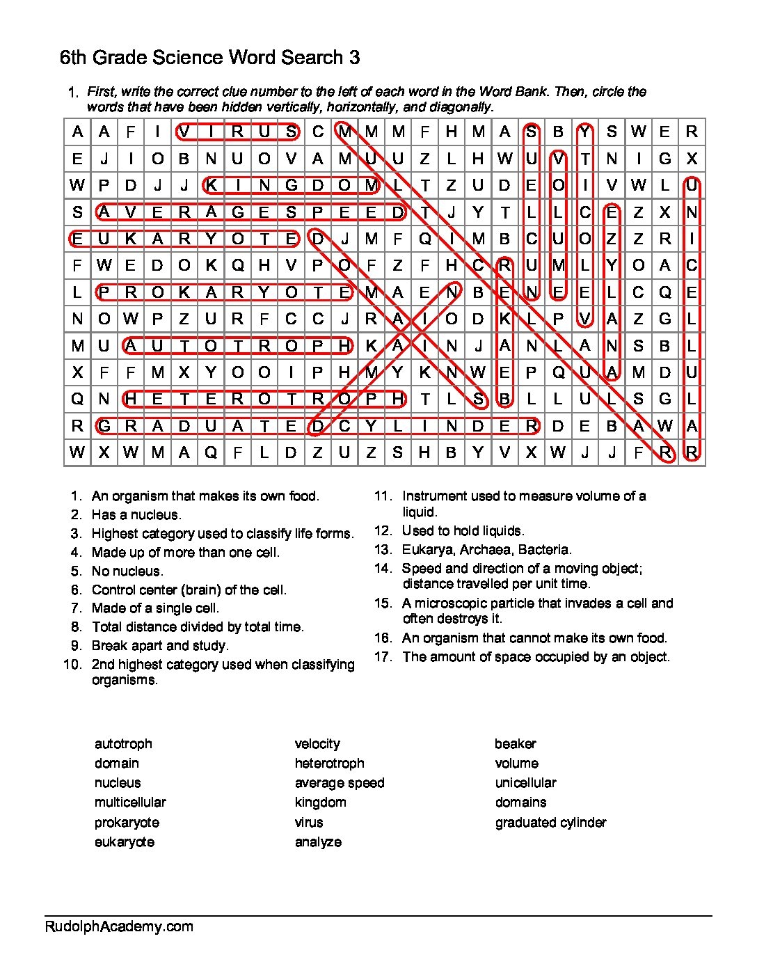 Science Word Search 6th Grade
