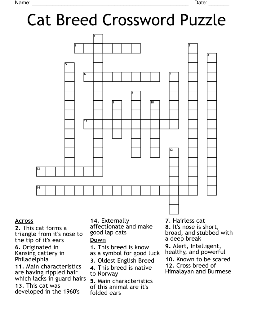 Cat Breed Crossword Puzzle WordMint