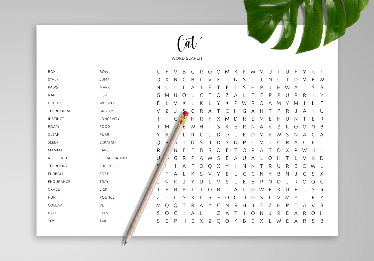Download Printable Cat Word Search In PDF