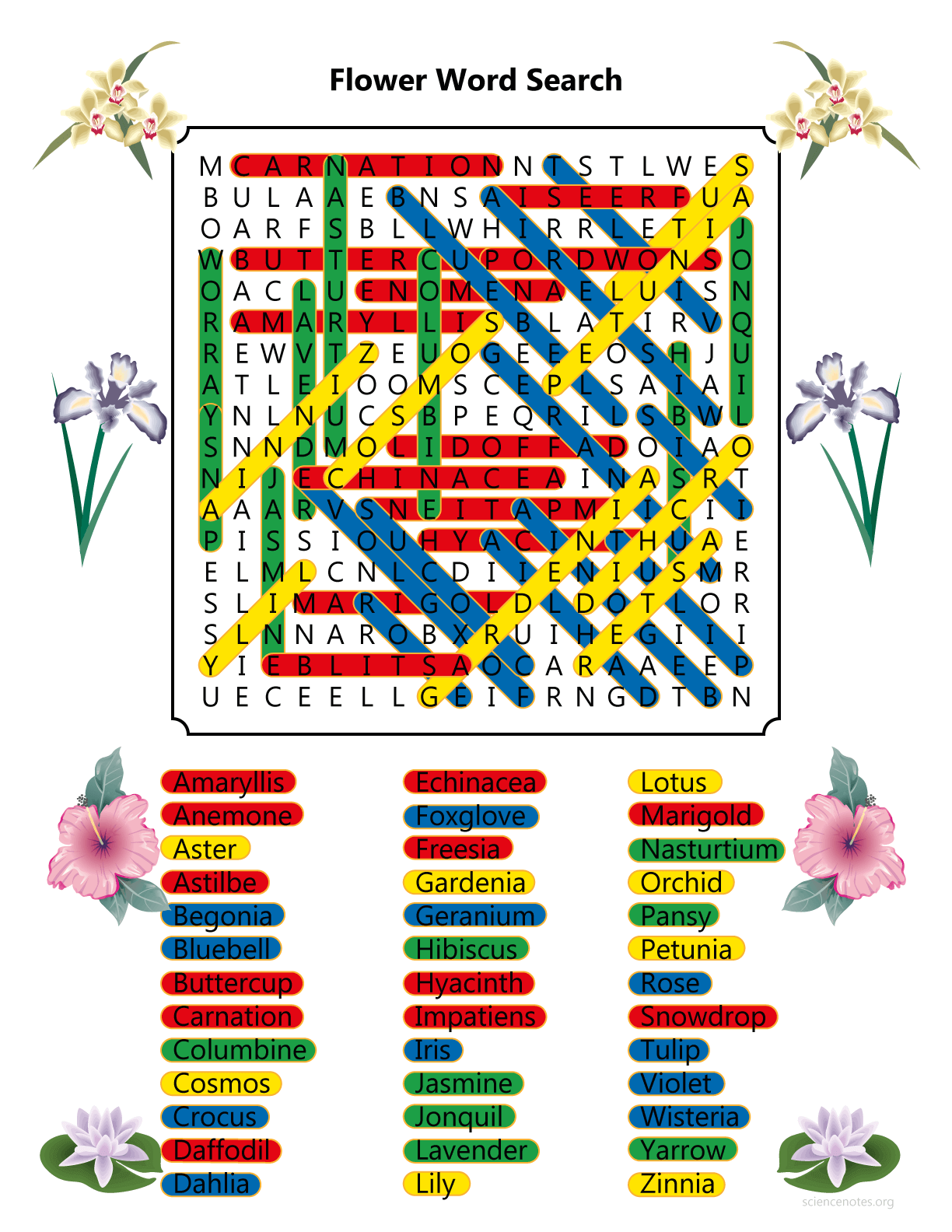Parts Of A Flower Word Search