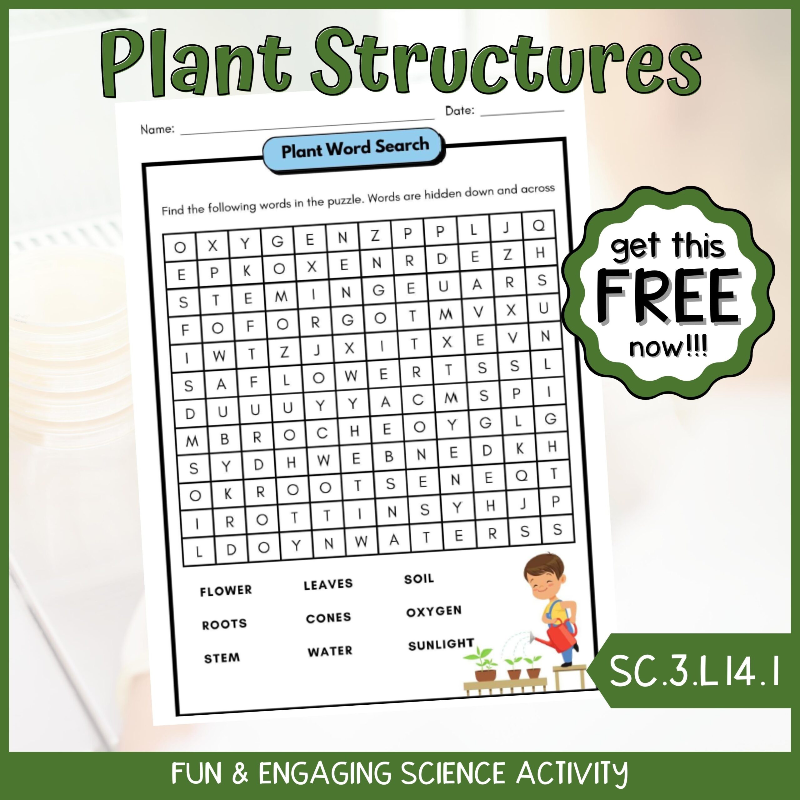 FREE Plant Structures And Functions Word Search Fun Science 