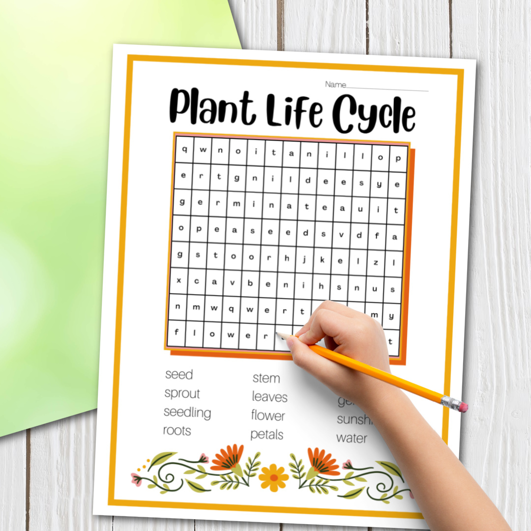 Free Printable Plant Life Cycle Word Search For Kids