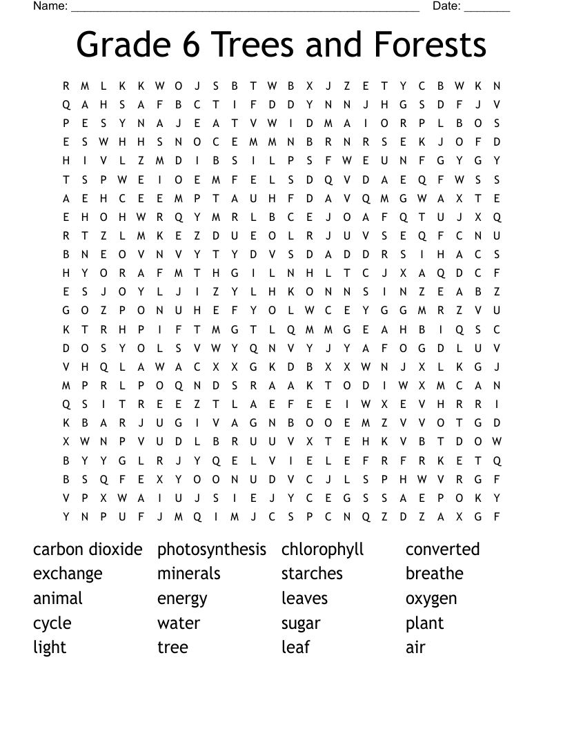 Grade 6 Trees And Forests Word Search WordMint