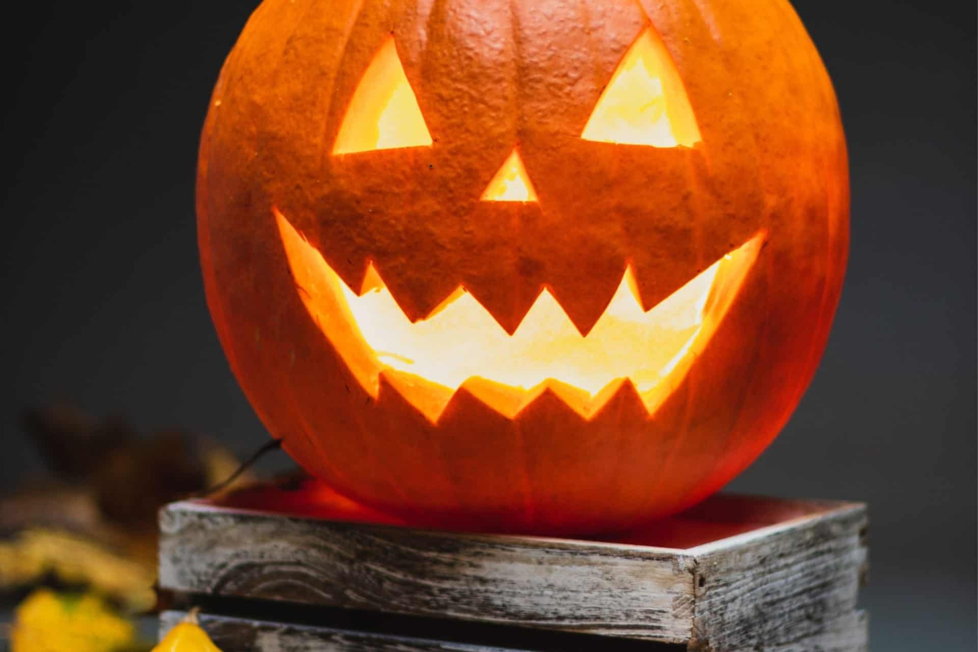 Halloween Words And Vocab Free Word Search PDF