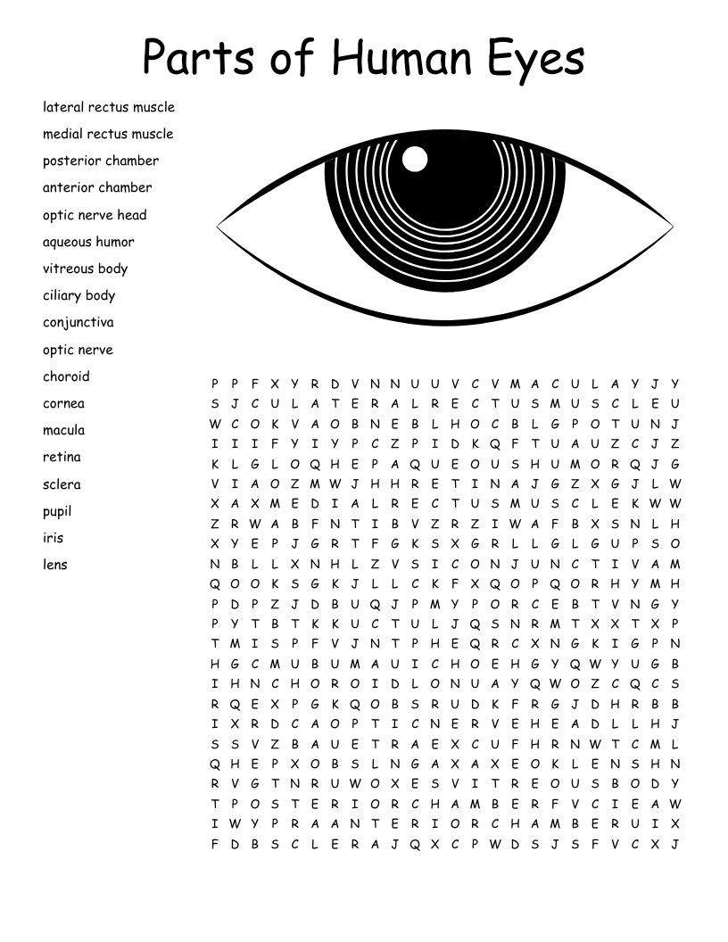 HARRY POTTER AND THE CHAMBER OF SECRETS Word Search WordMint