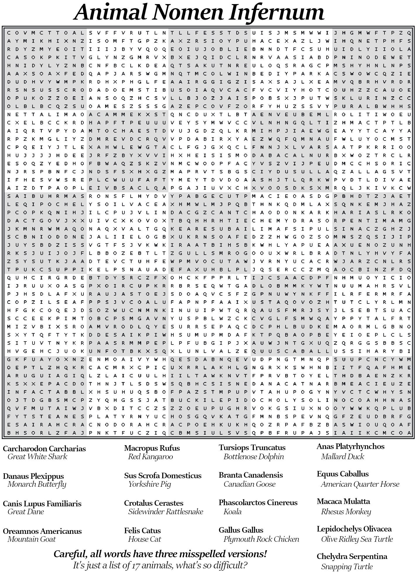 I Made A Difficult Word Search For My Mother Who Often Complains About Them Being Too Easy R puzzles I Made A Difficult Word Search For My Mother Who Often Complains About Them Being Too Easy R puzzles