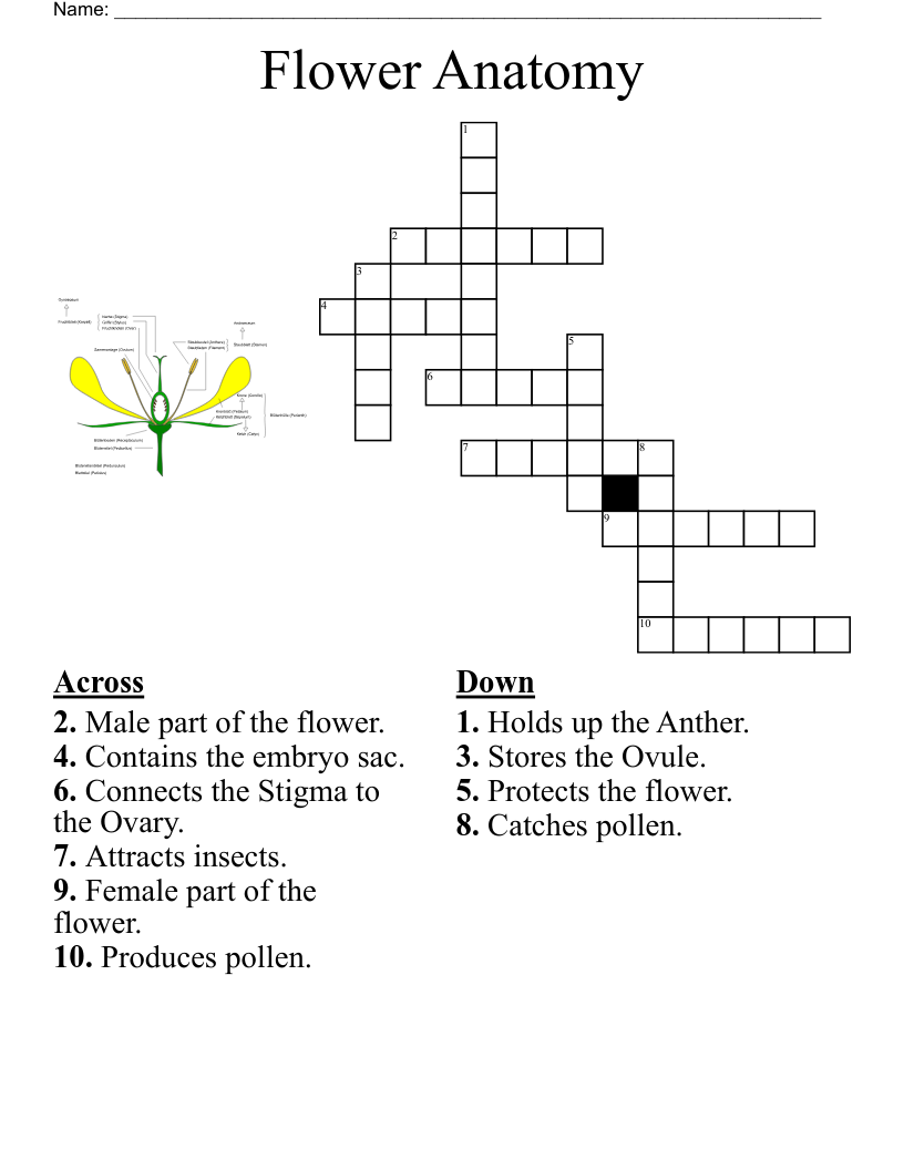 Word Search Puzzles Flowers
