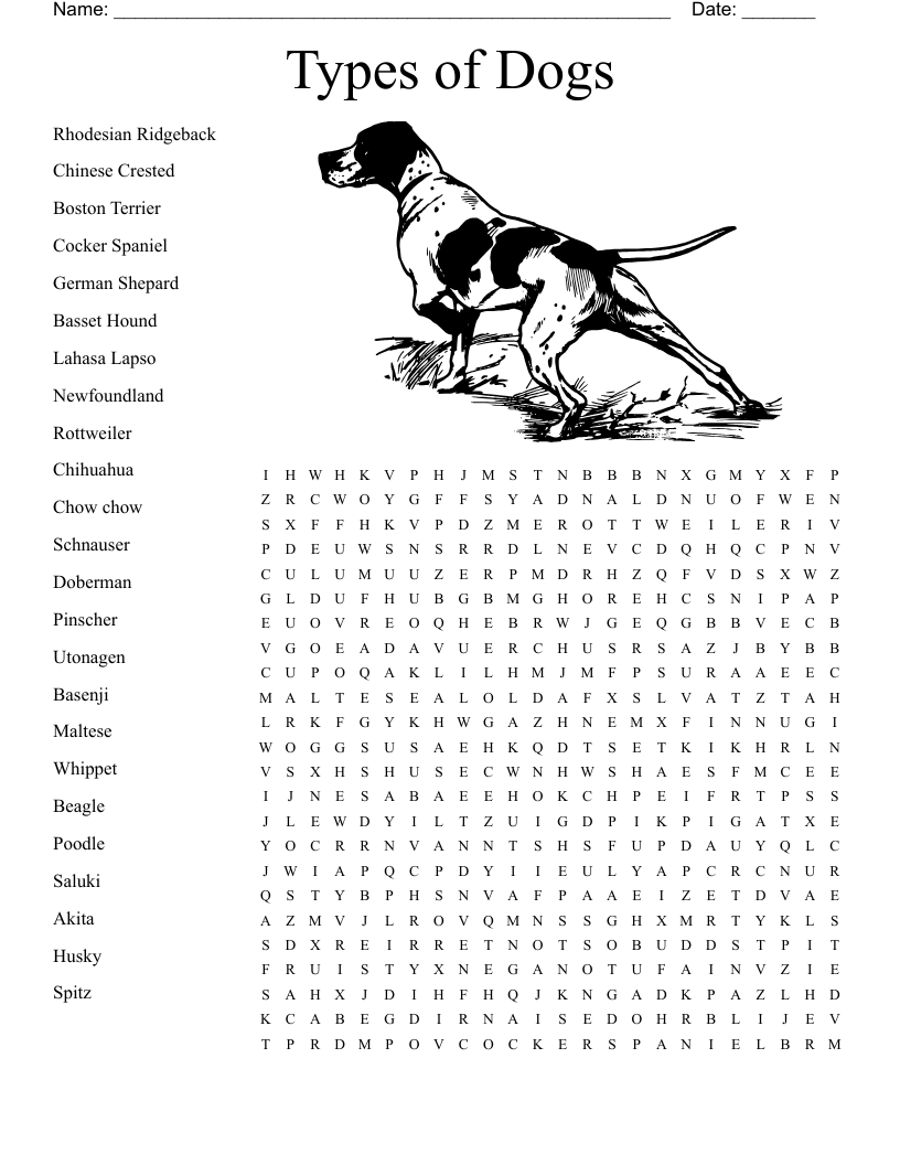 Word Search Books Dogs