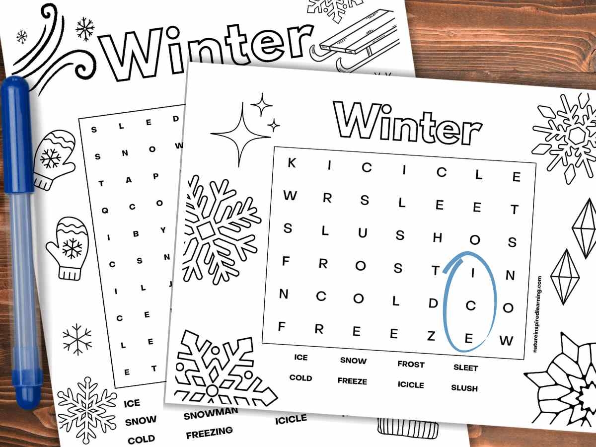 Free Printable Winter Word Search